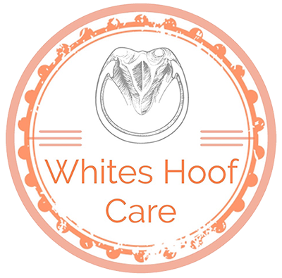 Whites Hoof Care
