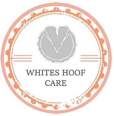 Whites Hoof Care